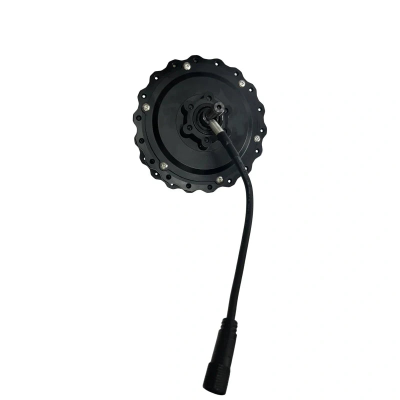 FENGQS H2PRO/H6PRO Dual Motor Replacement