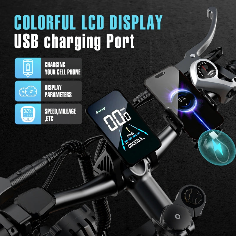 FENGQS H6 PRO Off-Road Electric Bikes