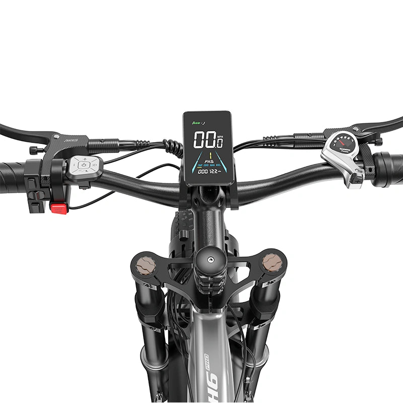 FENGQS H6 PRO Off-Road Electric Bikes