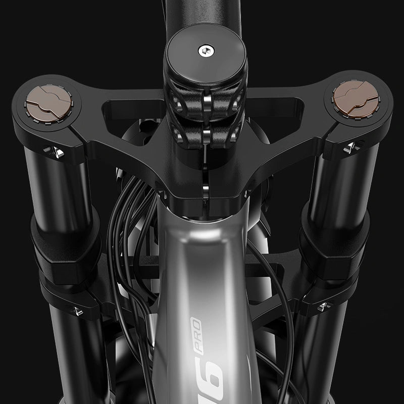 FENGQS H6 PRO Off-Road Electric Bikes