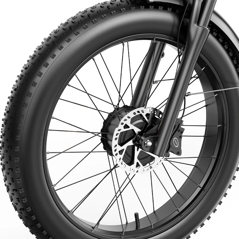 FENGQS H6 PRO Off-Road Electric Bikes
