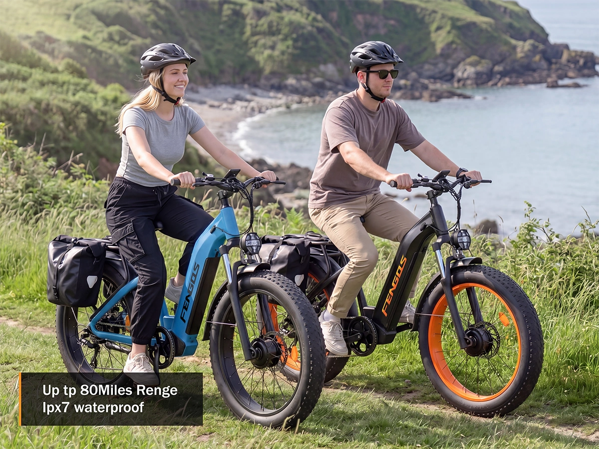 FENGQS H2 PRO Dual-Motor Off-Road Electric Bikes