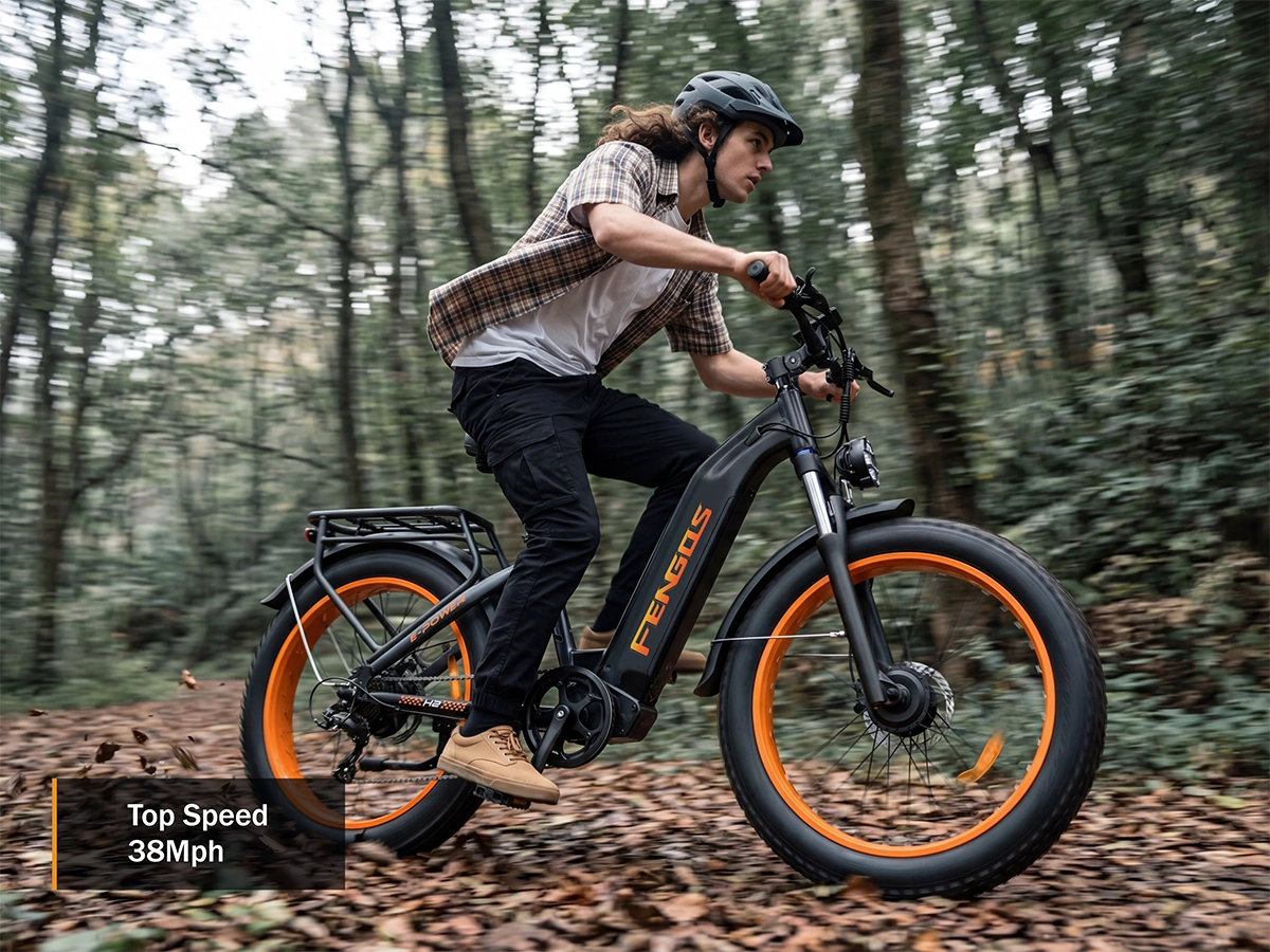 FENGQS H2 PRO Dual-Motor Off-Road Electric Bikes