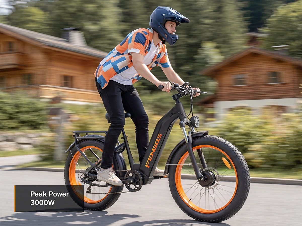 FENGQS H2 PRO Dual-Motor Off-Road Electric Bikes