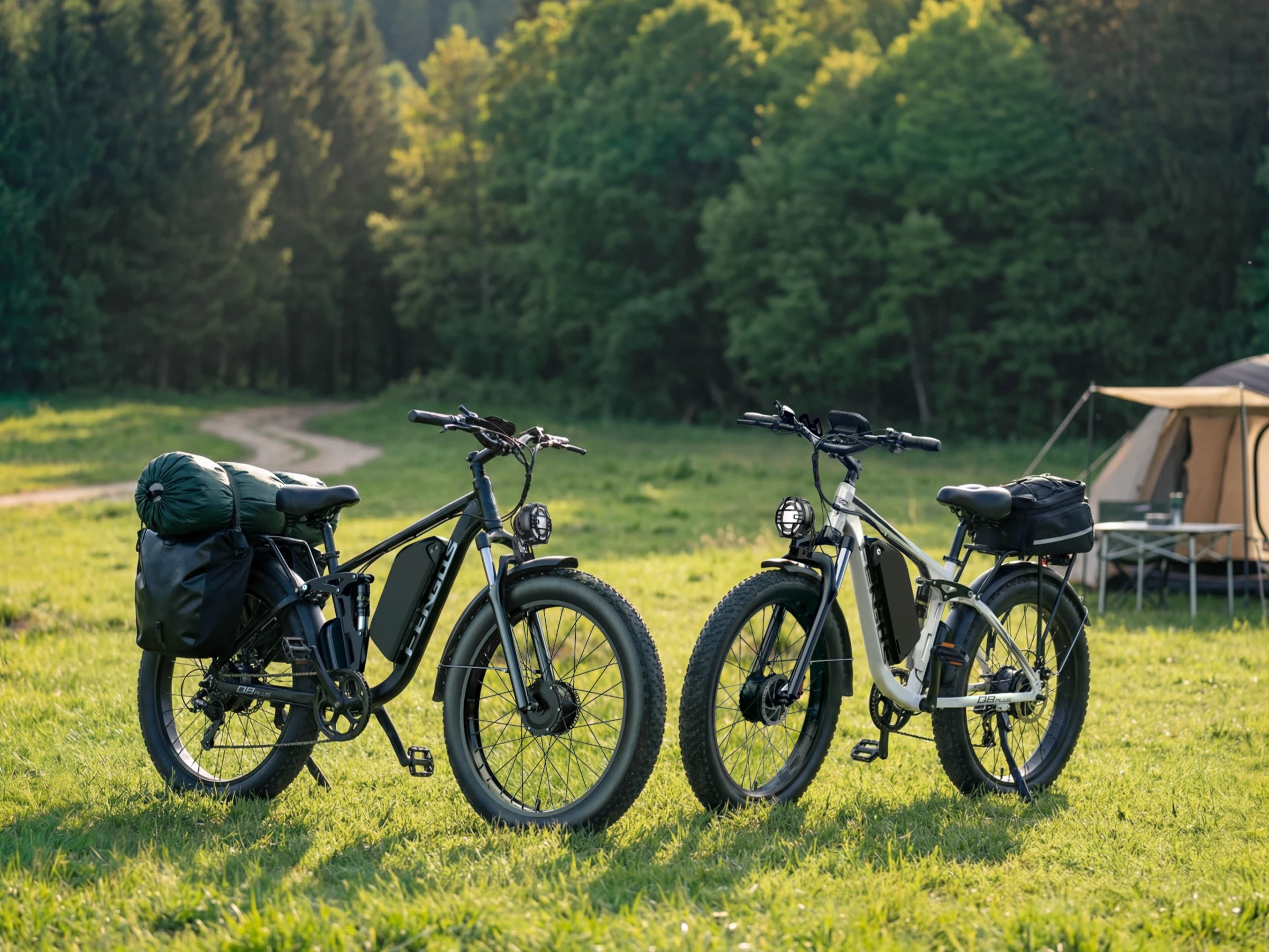 FENGQS Q8Plus 24-inch Adult Off-Road Electric Bike