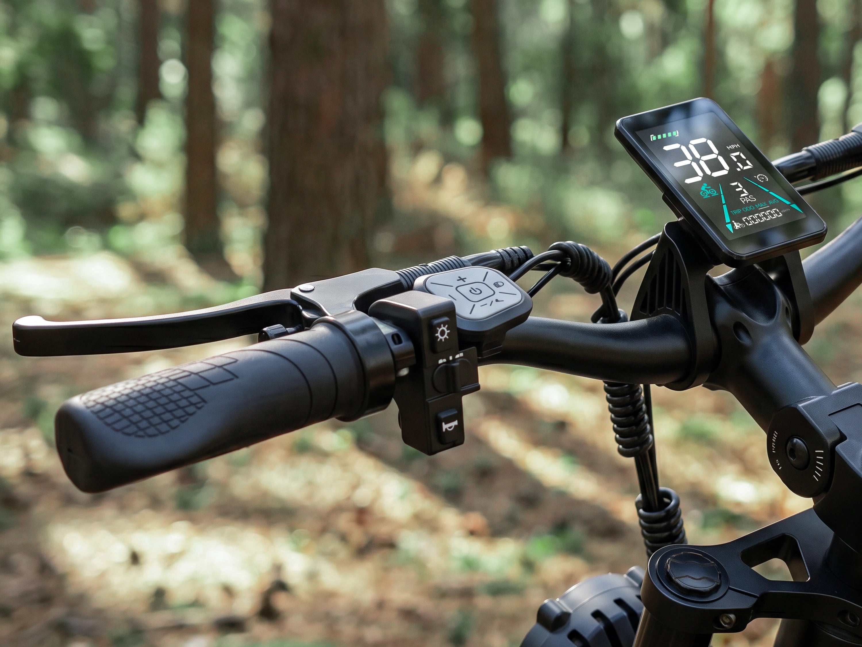 FENGQS H6 PRO Adult Off-Road Electric Bike