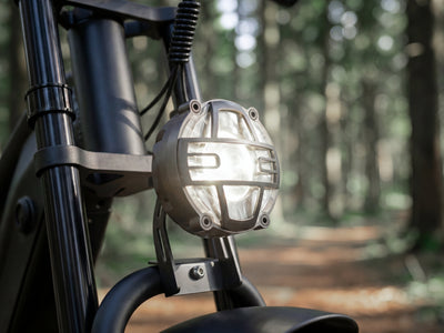 FENGQS H6 PRO Adult Off-Road Electric Bike
