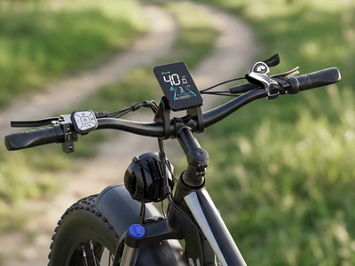 FENGQS Q8 Plus 26" Adult Fat Tyre Off-Road E-Bikes