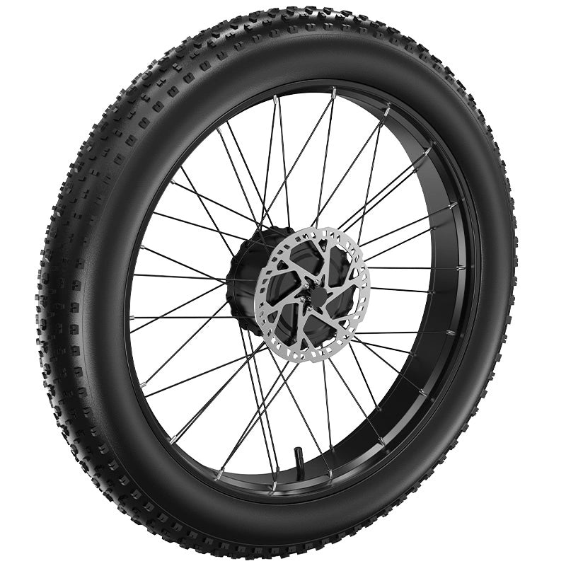 FENGQS Electric Bicycle Motor with Tire