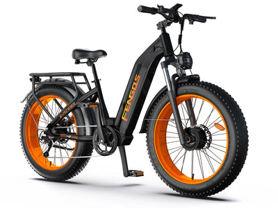 FENGQS H2 PRO Dual-Motor Off-Road Electric Bikes