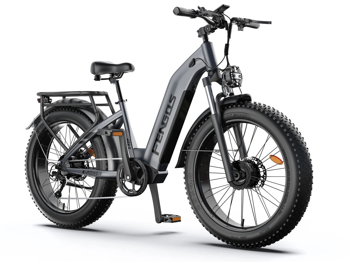 FENGQS H2 PRO Dual-Motor Off-Road Electric Bikes