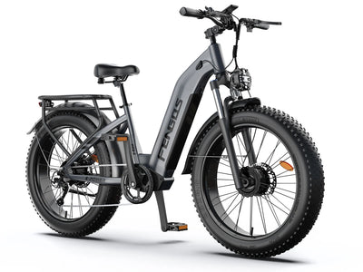 FENGQS H2 PRO Dual-Motor Off-Road Electric Bikes