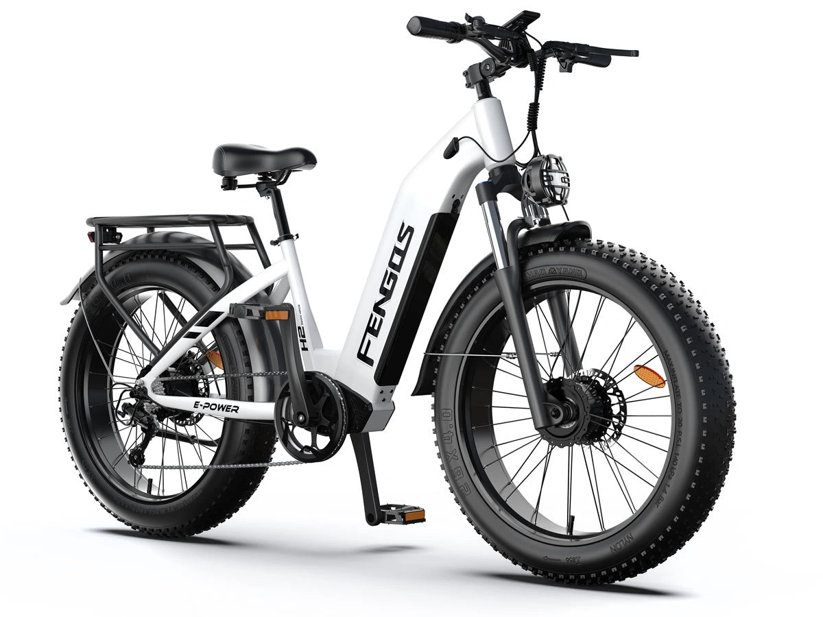 FENGQS H2 PRO Dual-Motor Off-Road Electric Bikes