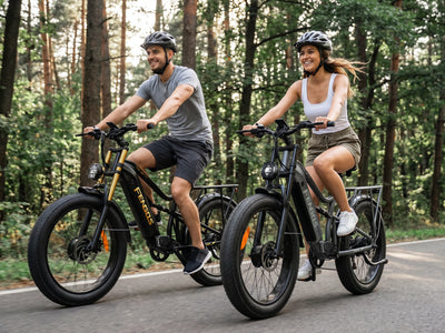 FENGQS H6 PRO Adult Off-Road Electric Bike