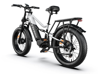 FENGQS H6 PRO Adult Off-Road Electric Bike