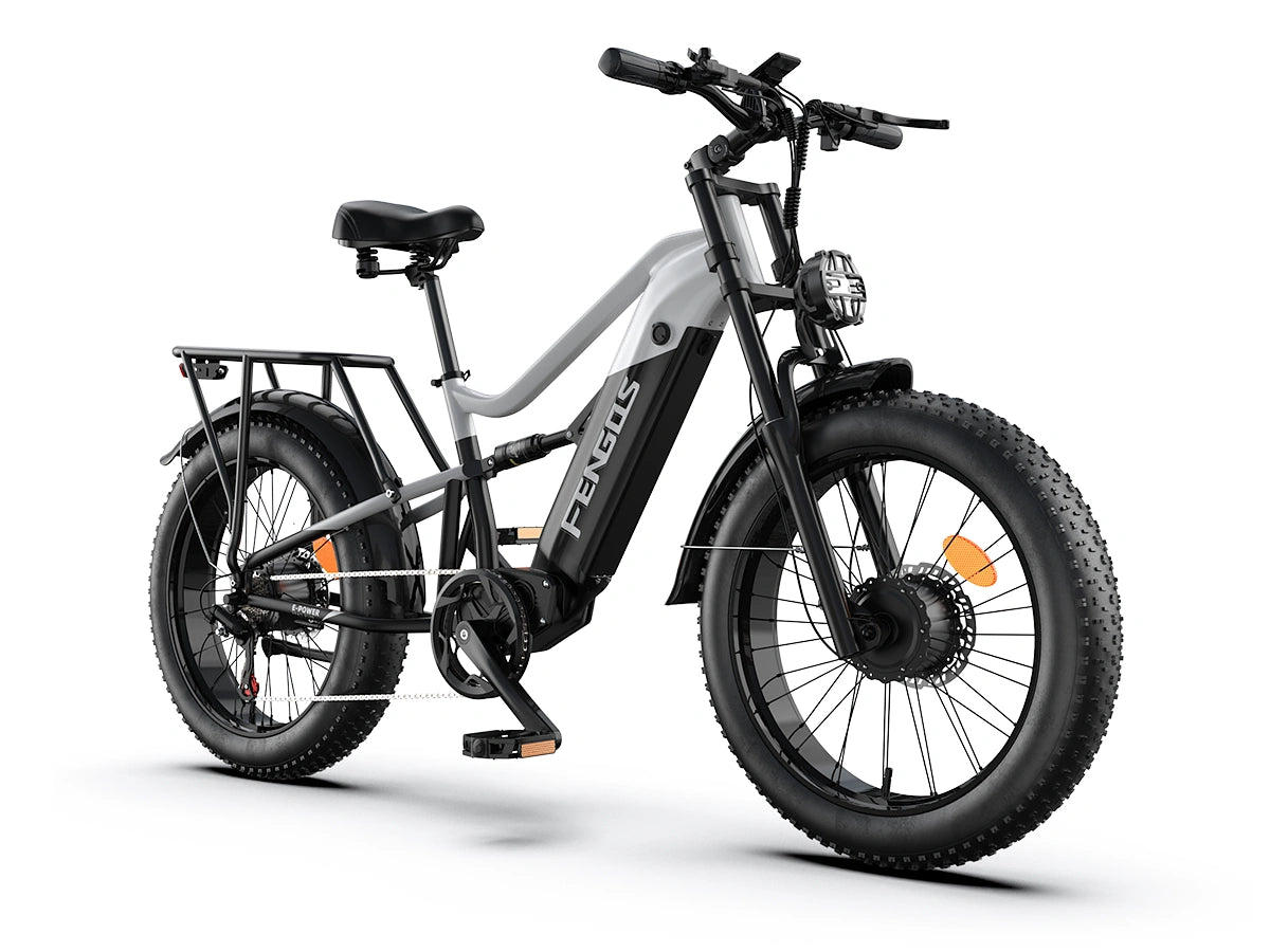 FENGQS H6 PRO Off-Road Electric Bikes