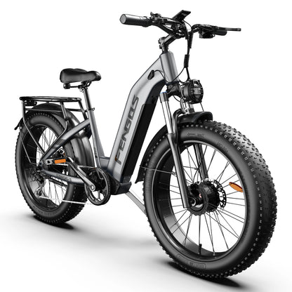 FENGQS H2 PRO Off-Road Electric Bikes