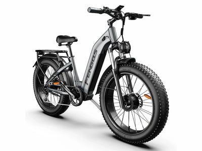 FENGQS H2 PRO Off-Road Electric Bikes