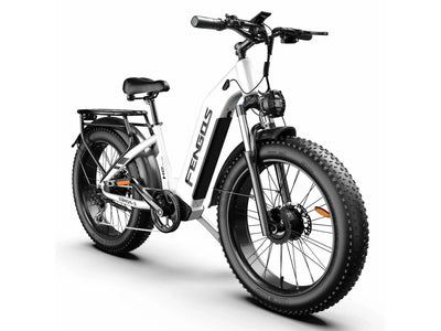 FENGQS H2 PRO Off-Road Electric Bikes