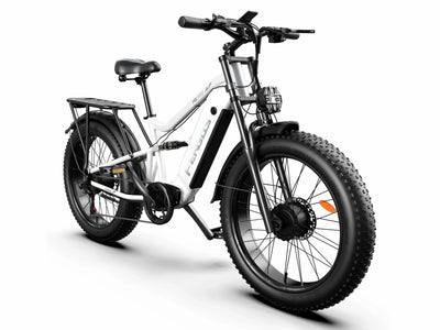 FENGQS H6 PRO Off-Road Electric Bikes