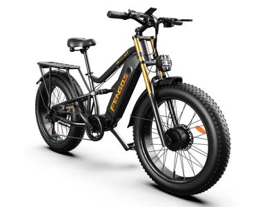 FENGQS H6 PRO Off-Road Electric Bikes