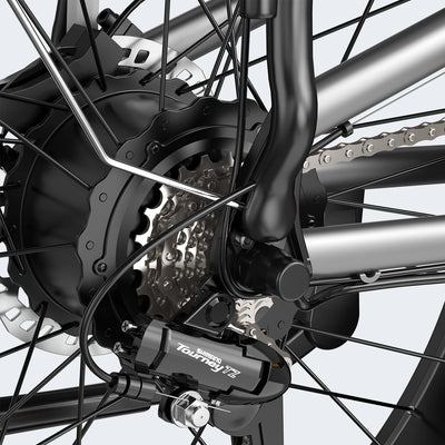 FENGQS H6 PRO Off-Road Electric Bikes