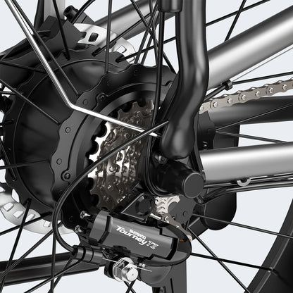 FENGQS H6 PRO Off-Road Electric Bikes
