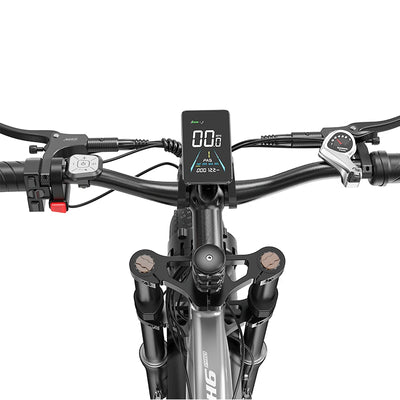 FENGQS H2 PRO Off-Road Electric Bikes