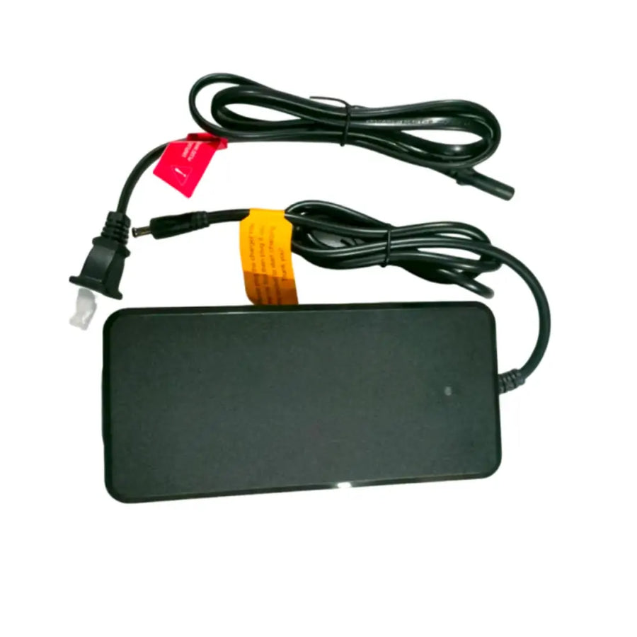 FENGQS Electric Bike Charger