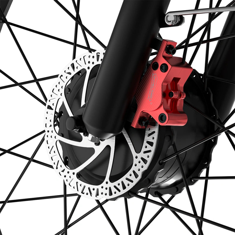 Q8 Plus Electric Bike Hydraulic Mechanical Disc Brake