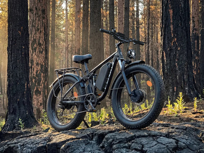 FENGQS Q8 Plus 26" Adult Fat Tyre Off-Road E-Bikes