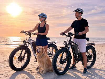 FENGQS Q8 Plus 26" Adult Fat Tyre Off-Road E-Bikes