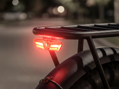 FENGQS H2 PRO Dual-Motor Off-Road Electric Bikes
