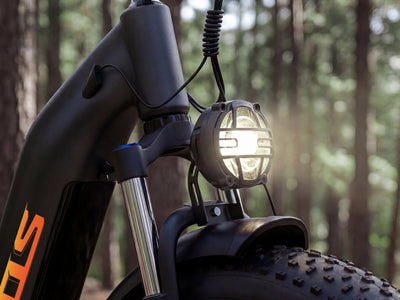 FENGQS H2 PRO Dual-Motor Off-Road Electric Bikes