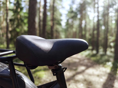 FENGQS H2 PRO Dual-Motor Off-Road Electric Bikes